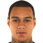 Gregory van der Wiel